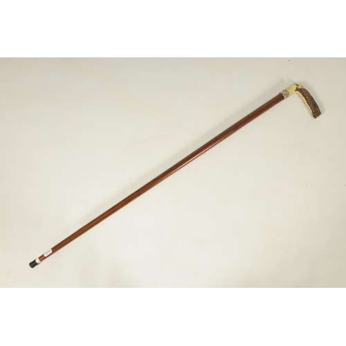 442 - A FINE LATE 19TH CENTURY CARVED ANTLER HORN WALKING STICK the finely carved handle depicting a lion,... 