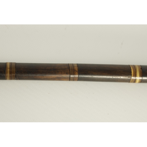 447 - A 19TH CENTURY SEGMENTED RHINOCEROS HORN WALKING STICK made up of eighteen pieces of tapered horn (7... 