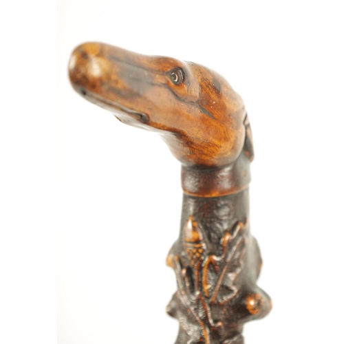 453 - A RARE 19TH CENTURY FOLK ART CARVED FRUITWOOD WALKING STICK with acorn and oak leaf carved decoratio... 