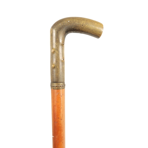 455 - A LATE 19TH CENTURY RHINOCEROS HORN HANDLED WALKING STICK the thick horn handle carved to simulate h... 