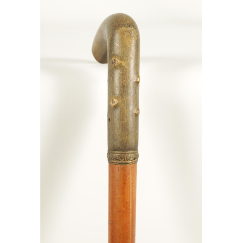 455 - A LATE 19TH CENTURY RHINOCEROS HORN HANDLED WALKING STICK the thick horn handle carved to simulate h... 