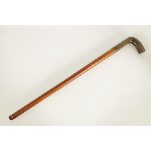 455 - A LATE 19TH CENTURY RHINOCEROS HORN HANDLED WALKING STICK the thick horn handle carved to simulate h... 