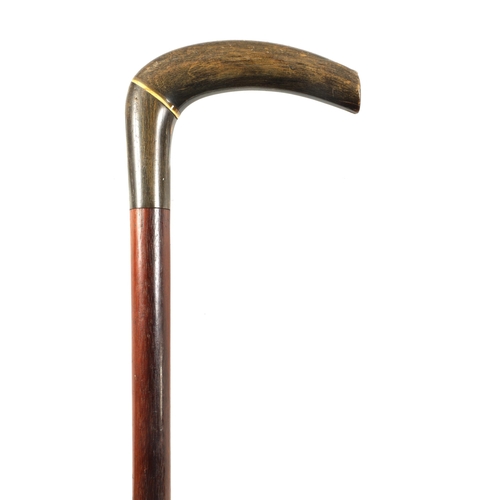 460 - A LATE 19TH CENTURY RHINOCEROS HORN HANDLED WALKING STICK the two-section handle on a mahogany shaft... 