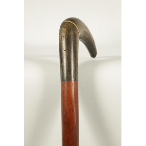 460 - A LATE 19TH CENTURY RHINOCEROS HORN HANDLED WALKING STICK the two-section handle on a mahogany shaft... 