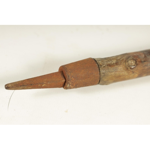 465 - A LATE 19TH CENTURY HOOF HANDLED MOUNTAINEERING STICK - POSSIBLY RHINO HORN well carved and depicted... 