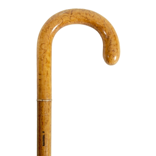 469 - A LATE 19TH CENTURY FRENCH BIRDS EYE MAPLE WALKING STICK/PARASOL with telescopic shaft and curved ha... 