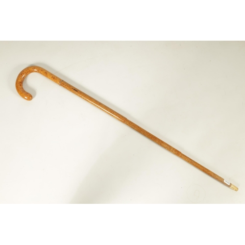 469 - A LATE 19TH CENTURY FRENCH BIRDS EYE MAPLE WALKING STICK/PARASOL with telescopic shaft and curved ha... 