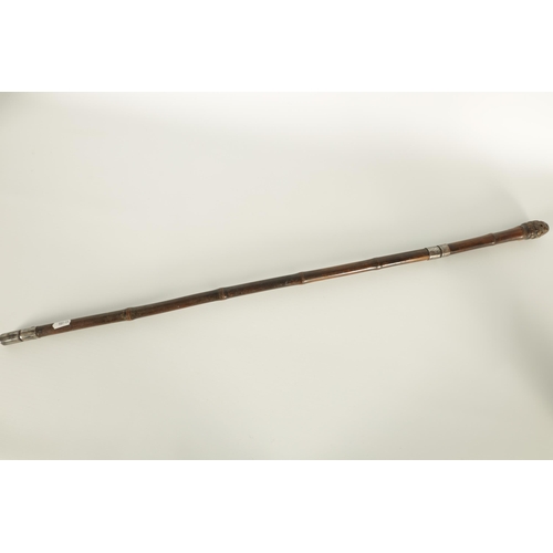 472 - A 19TH CENTURY BAMBOO SWORD STICK with root handle and tapering steel blade signed Solingen (91.5cm ... 