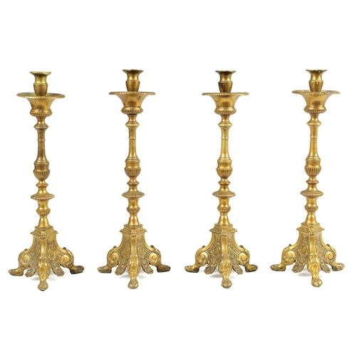 501 - A SET OF FOUR 18TH CENTURY CONTINENTAL LARGE BRASS CANDLESTICKS with cast leaf scrolled tripod bases... 