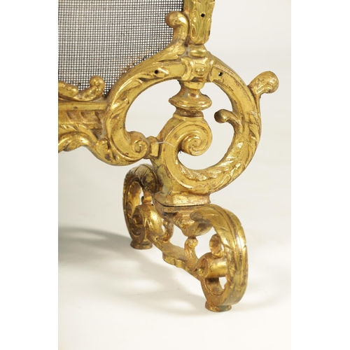 509 - AN EARLY 19TH CENTURY CAST BRASS ROCOCO FIRE SCREEN with leaf cast frame and scroll feet.