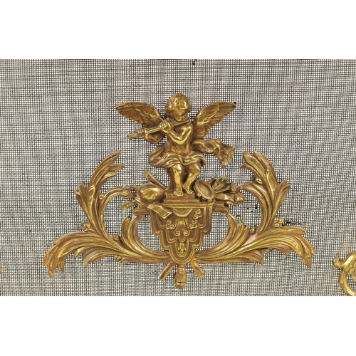 509 - AN EARLY 19TH CENTURY CAST BRASS ROCOCO FIRE SCREEN with leaf cast frame and scroll feet.