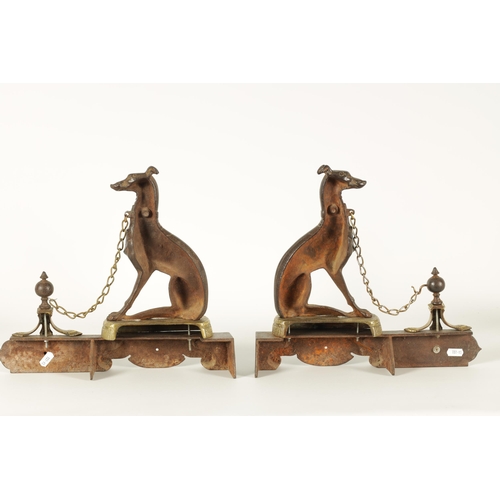 511 - A PAIR OF 19TH CENTURY CAST IRON AND BRASS MOUNTED HEARTH DOGS the seated hounds with decorated bodi... 