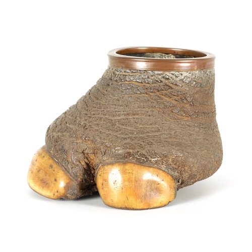 515 - A SMALL LATE 19TH CENTURY TAXIDERMY ELEPHANT FOOT with mounted copper rim (18cm high)