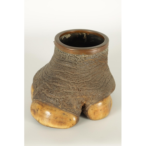 515 - A SMALL LATE 19TH CENTURY TAXIDERMY ELEPHANT FOOT with mounted copper rim (18cm high)