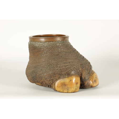 515 - A SMALL LATE 19TH CENTURY TAXIDERMY ELEPHANT FOOT with mounted copper rim (18cm high)