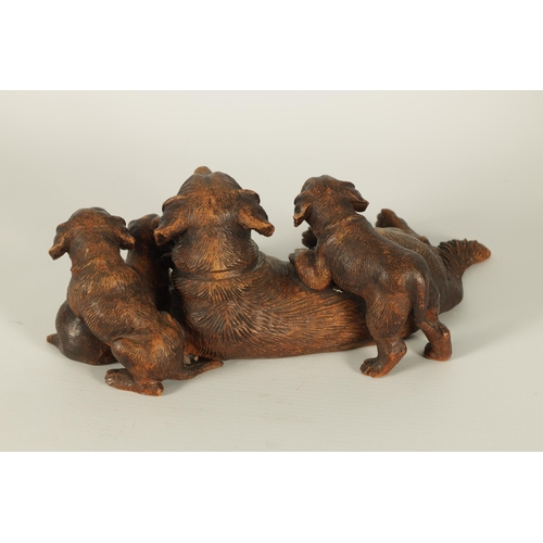 554 - A FINE 19TH CENTURY BLACK FOREST CARVED LINDEN-WOOD ANIMAL GROUP depicting a recumbent Dog with Pups... 