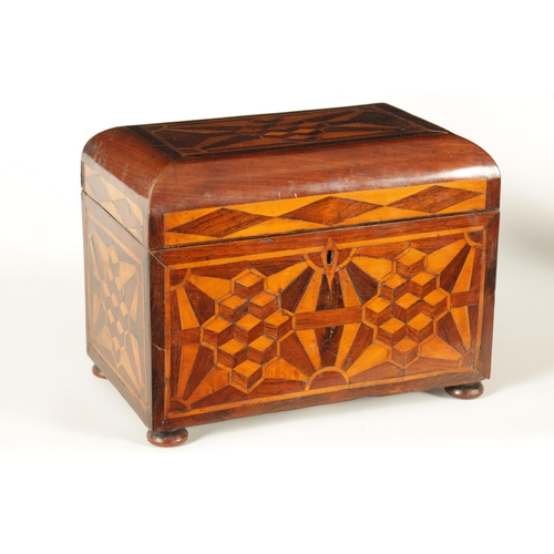 562 - AN EARLY VICTORIAN MAHOGANY AND ROSEWOOD BANDED SPECIMEN WOOD PARQUETRY INLAID TEA CADDY OF LARGE SI... 