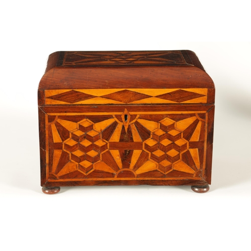 562 - AN EARLY VICTORIAN MAHOGANY AND ROSEWOOD BANDED SPECIMEN WOOD PARQUETRY INLAID TEA CADDY OF LARGE SI... 