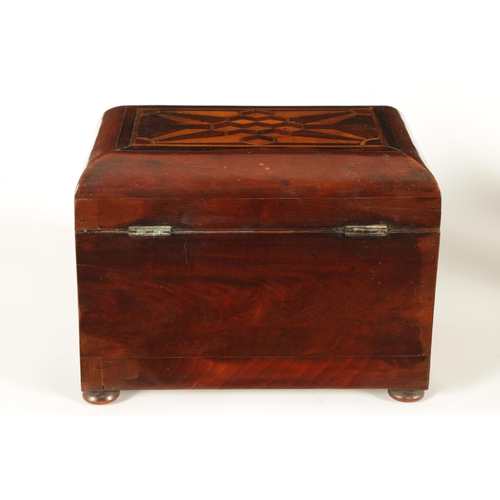 562 - AN EARLY VICTORIAN MAHOGANY AND ROSEWOOD BANDED SPECIMEN WOOD PARQUETRY INLAID TEA CADDY OF LARGE SI... 