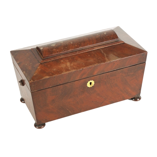 570 - A LATE REGENCY MAHOGANY SARCOPHAGUS TEA CADDY OF LARGE SIZE with a rounded panelled top above a fitt... 