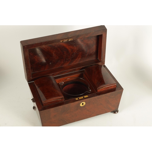 570 - A LATE REGENCY MAHOGANY SARCOPHAGUS TEA CADDY OF LARGE SIZE with a rounded panelled top above a fitt... 