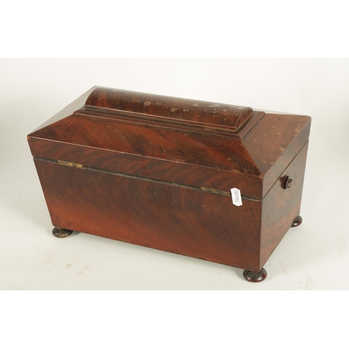 570 - A LATE REGENCY MAHOGANY SARCOPHAGUS TEA CADDY OF LARGE SIZE with a rounded panelled top above a fitt... 