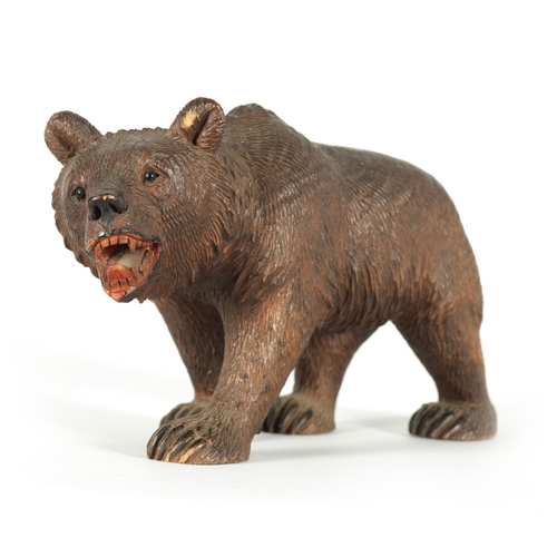 603 - AN EARLY 20TH CENTURY CARVED BLACK FOREST BEAR modelled in a standing pose with glass eyes and paint... 