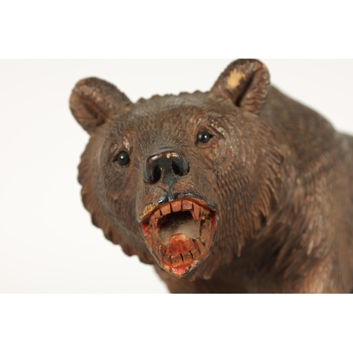 603 - AN EARLY 20TH CENTURY CARVED BLACK FOREST BEAR modelled in a standing pose with glass eyes and paint... 