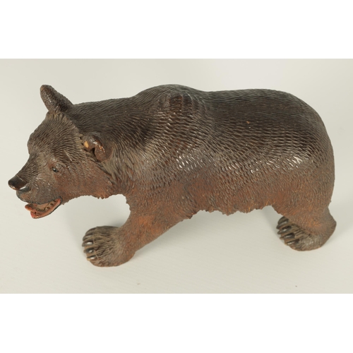 603 - AN EARLY 20TH CENTURY CARVED BLACK FOREST BEAR modelled in a standing pose with glass eyes and paint... 