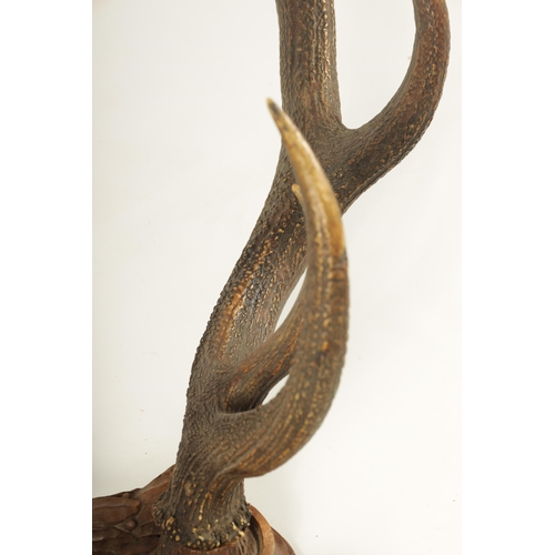 608 - A LARGE 19TH CENTURY MOUNTED BLACK FOREST PAIR OF STAGS HORN ANTLERS joined by a shaped carved walnu... 