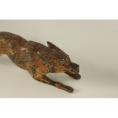 618 - AN EARLY 20TH CENTURY AUSTRIAN COLD PAINTED BRONZE SCULPTURE OF A RUNNING FOX (12cm across)