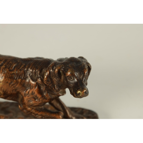 657 - AN EARLY 20TH CENTURY BRONZE SCULPTURE MODELLED AS AN ALERT SETTER on a naturalistic base (12.5cm ac... 