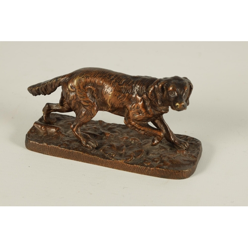 657 - AN EARLY 20TH CENTURY BRONZE SCULPTURE MODELLED AS AN ALERT SETTER on a naturalistic base (12.5cm ac... 