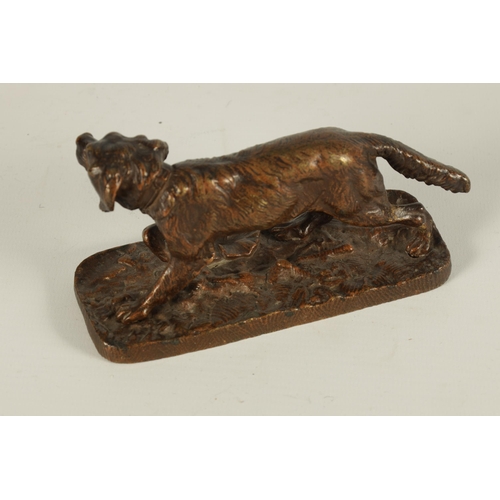 657 - AN EARLY 20TH CENTURY BRONZE SCULPTURE MODELLED AS AN ALERT SETTER on a naturalistic base (12.5cm ac... 