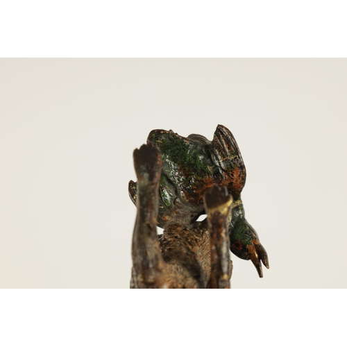 669 - A RARE SMALL EARLY 20TH CENTURY AUSTRIAN COLD PAINTED BRONZE SCULPTURE OF A FOX CARRYING A DUCK - la... 