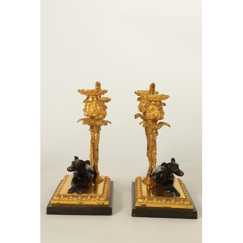 683 - A PAIR OF REGENCY BRONZE AND ORMOLU TWO BRANCH CANDELABRA the floral sconces on scrolling acanthus b... 