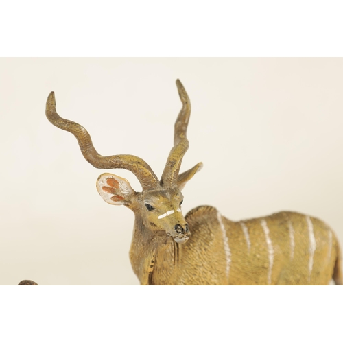 694 - A LATE 19TH CENTURY / EARLY 20TH CENTURY FRANZ BERGMAN COLD PAINTED ANIMAL BRONZE OF AN ANTELOPE sta... 