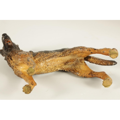 696 - A LATE 19TH/ EARLY 20TH CENTURY AUSTRIAN COLD PAINTED BRONZE SCULPTURE OF AN ALSATIAN DOG (14cm acro... 