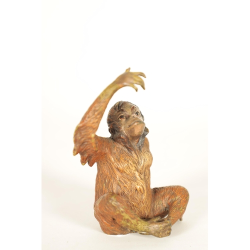 742 - A FRANZ BERGMAN COLD PAINTED ANIMALIER BRONZE OF A MONKEY with Bergman and Geschulzt foundry stamps.... 