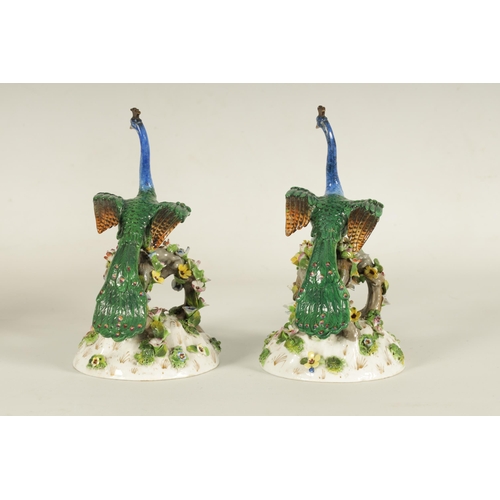 79 - A PAIR OF 19TH CENTURY DRESDEN PORCELAIN PEACOCK FIGURES brightly decorated with encrusted flowers t... 