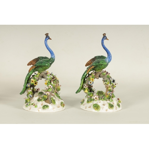 79 - A PAIR OF 19TH CENTURY DRESDEN PORCELAIN PEACOCK FIGURES brightly decorated with encrusted flowers t... 