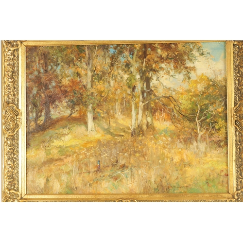 830 - WILLIAM STEWART MACGEORGE, RSA (1861 - 1931) A LATE 19TH CENTURY OIL ON CANVAS Autumn wooded landsca... 