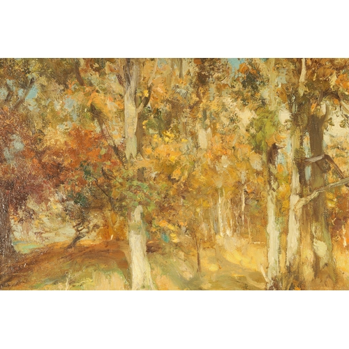 830 - WILLIAM STEWART MACGEORGE, RSA (1861 - 1931) A LATE 19TH CENTURY OIL ON CANVAS Autumn wooded landsca... 