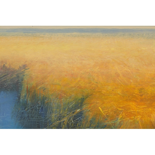 861 - A LARGE 20TH CENTURY OIL ON CANVAS. Seagrass Island, - mounted in gilt moulded frame (72cm high 71cm... 