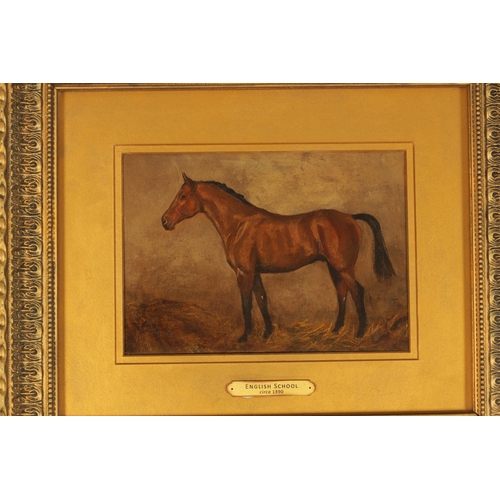 865 - A LATE 19TH CENTURY ENGLISH SCHOOL OIL ON BOARD, Stable scene with standing bay horse - mounted in a... 