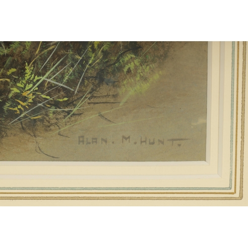 877 - ALAN M. HUNT (Born 1947). A PAIR OF WATERCOLOURS AND GOUACHE. Teal and duck amongst reeds, signed - ... 