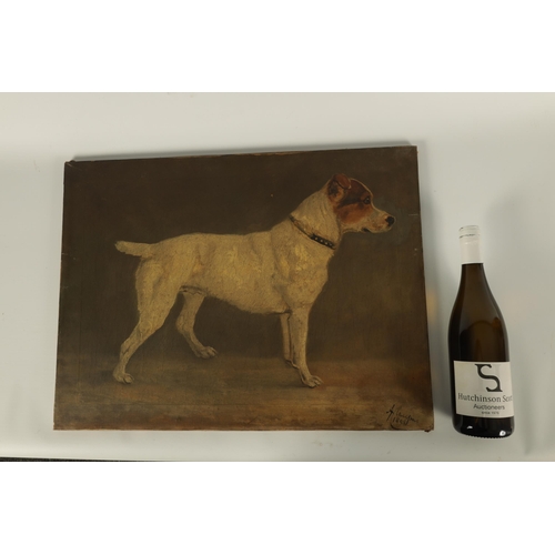 885 - A LATE 19TH CENTURY OIL ON CANVAS STANDING PORTRAIT OF A JACK RUSSEL - signed and dated 1898 (59.5cm... 