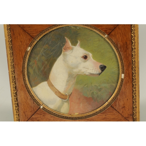 893 - A 19TH CENTURY OIL ON BOARD ATTRIBUTED TO JOHN ARNOLD ALFRED WHEELER depicting a dog's portrait - un... 