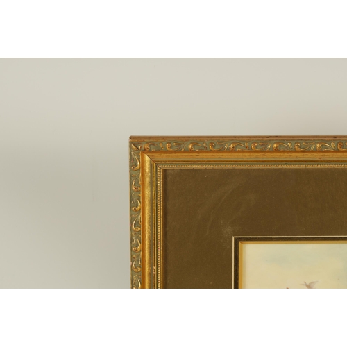 90 - JAMES STINTON. A ROYAL WORCESTER FRAMED RECTANGULAR PORCELAIN PLAQUE painted with a pair of pheasant... 