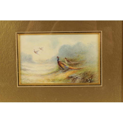 90 - JAMES STINTON. A ROYAL WORCESTER FRAMED RECTANGULAR PORCELAIN PLAQUE painted with a pair of pheasant... 